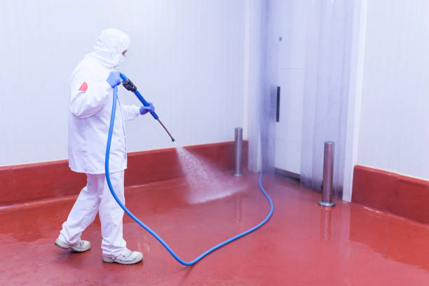 Best Pre-Holiday Cleaning  in Alpine, NJ